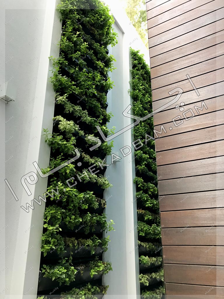 دیوار سبز