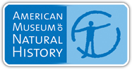 موزه تاریخ طبیعی آمریکا